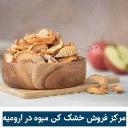 خرید دستگاه میوه خشک کن، هسته گیر و اسلایسر میوه در ارومیه 5