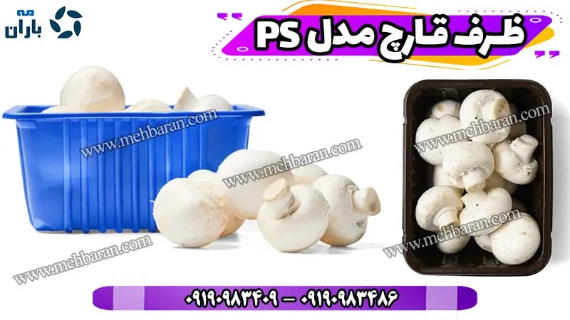 ظرف بسته بندی قارچ مدل Polystyrene ظرف 400 گرمی