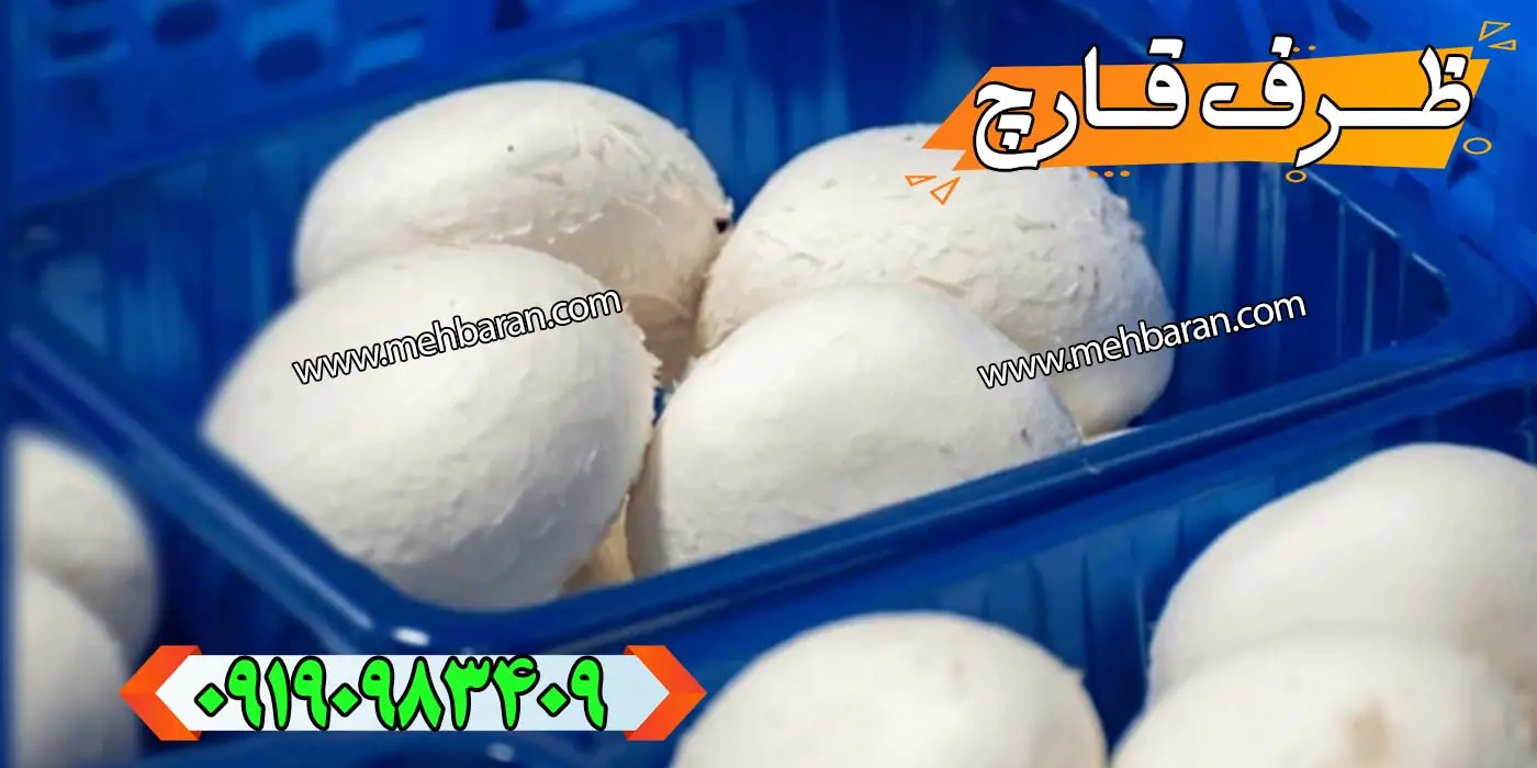 ظرف قارچ دکمه ای مدل Polypropylene ع3