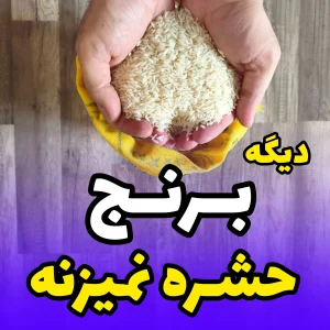 بهترین روش نگهداری برنج در منزل با وکیوم خانگی 300 مه باران