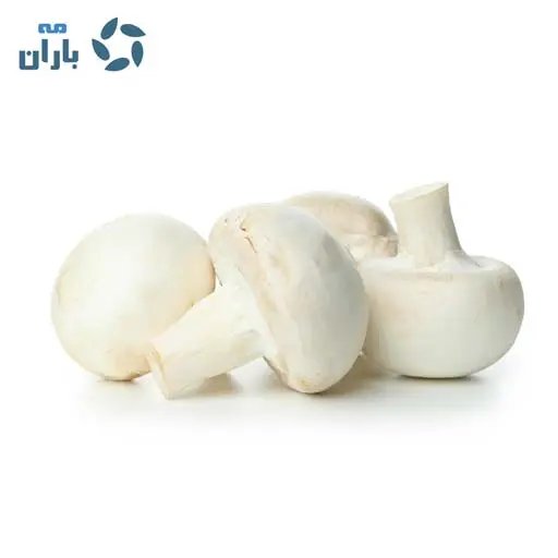 بذر قارچ دکمه ای